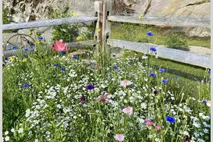 21 Quarry Rd, Campton, NH 03223 - Photo 51