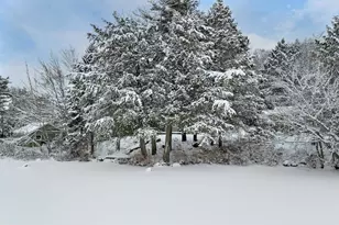 3 Wilderness Trail, Harrisville, NH 03450 - Photo 49