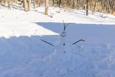 12 Peaslee Road, Rochester, NH 03867 - Photo 37