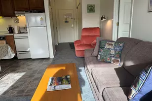 36 Lodge Rd, Lincoln, NH 03251 - Photo 19