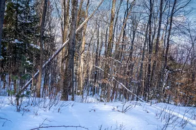 56 Lower Taylor Hill Road, Winhall, VT 05340 - Photo 11