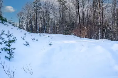 56 Lower Taylor Hill Road, Winhall, VT 05340 - Photo 5