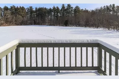69 Bog Road, Goffstown, NH 03045 - Photo 47