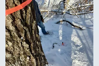 00 Swans Falls Road #Lot A, Fryeburg, ME 04037 - Photo 13