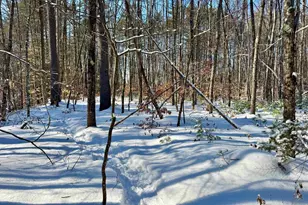 00 Swans Falls Rd, Fryeburg, ME 04037 - Photo 1