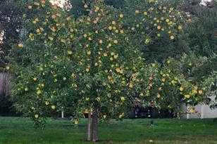 2 Hilliard Dr, Hampton, NH 03842 - Photo 37