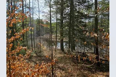 179 Chickville Road, Ossipee, NH 03864 - Photo 1