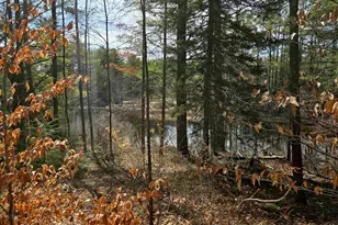 179 Chickville Rd, Ossipee, NH 03864 - Photo 1