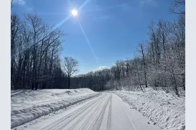 0 Earls Lane, Lempster, NH 03605 - Photo 3