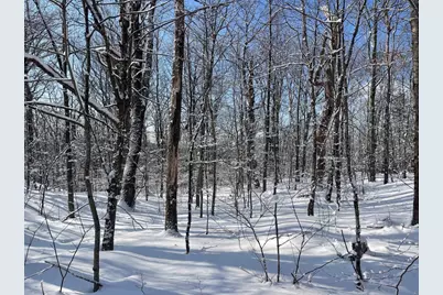 0 Earls Lane, Lempster, NH 03605 - Photo 11