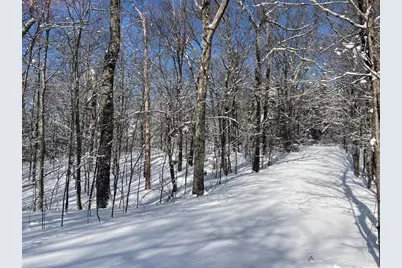 0 Earls Lane, Lempster, NH 03605 - Photo 7