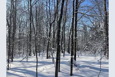 0 Earls Lane, Lempster, NH 03605 - Photo 9