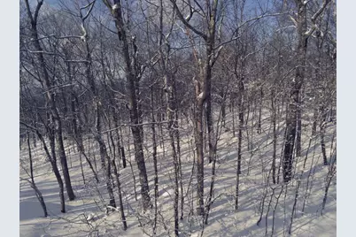 0 Earls Lane, Lempster, NH 03605 - Photo 13