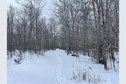 0 Earls Lane, Lempster, NH 03605 - Photo 3