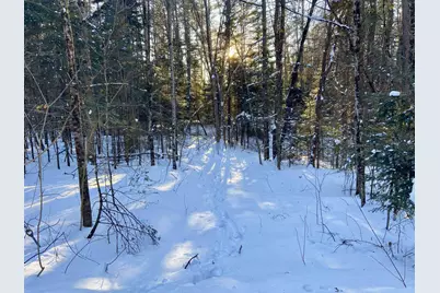 Nichols Road, Dalton, NH 03598 - Photo 9