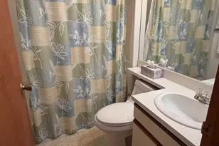 14 Tripyramid Way, Waterville Valley, NH 03215 - Photo 21