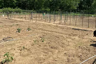 15 Country Ln, East Kingston, NH 03827 - Photo 31