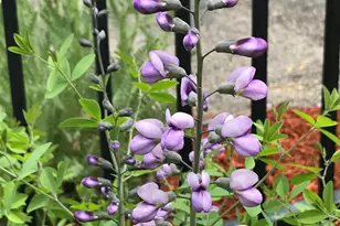 147 Ham Woods Rd, Alton, NH 03809 - Photo 49