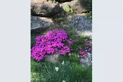 147 Hamwoods Road, Alton, NH 03809 - Photo 59