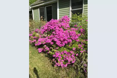 147 Hamwoods Road, Alton, NH 03809 - Photo 47