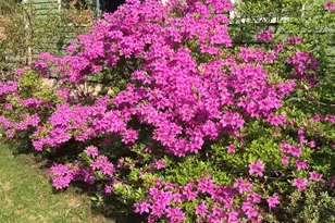 147 Ham Woods Rd, Alton, NH 03809 - Photo 47