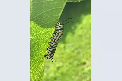 147 Hamwoods Road, Alton, NH 03809 - Photo 55
