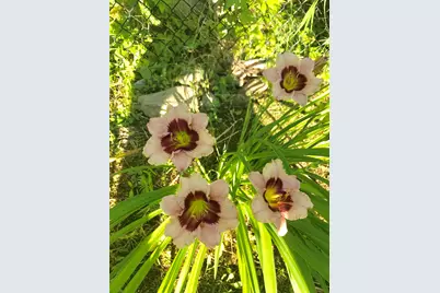 147 Hamwoods Road, Alton, NH 03809 - Photo 53