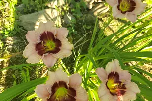 147 Ham Woods Rd, Alton, NH 03809 - Photo 53