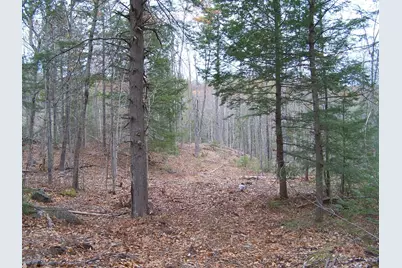 222-3 Fisher Road, Deering, NH 03244 - Photo 11