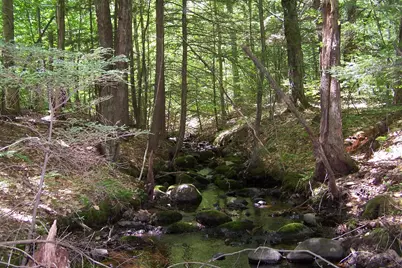 222-3 Fisher Road, Deering, NH 03244 - Photo 3