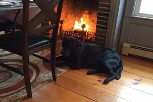 26 Pike St, Epping, NH 03042 - Photo 13