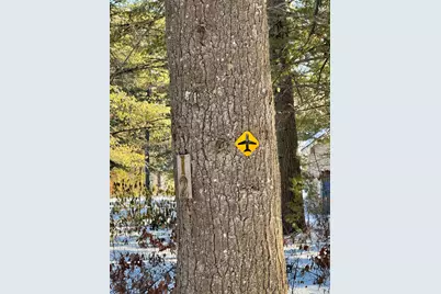 12 Logan Way, Ossipee, NH 03890 - Photo 3