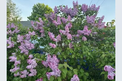 6 Rice Terrace, Hampton, NH 03842 - Photo 37