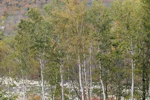 90 Loon Mountain Rd, Lincoln, NH 03251 - Photo 23