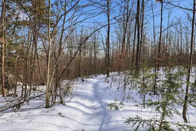 Tax Map5B Lot97 Nh Route 114 #97, Henniker, NH 03242 - Photo 21