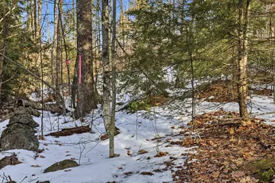 Tax Map5B Lot97 Nh Route 114 #97, Henniker, NH 03242 - Photo 7