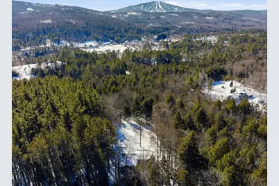 5 Wall Street, Winhall, VT 05340 - Photo 39