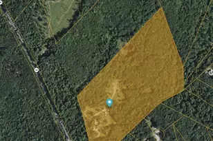 376 Rattlesnake Hill Rd, Auburn, NH 03032 - Photo 3