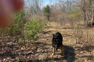 0 White Mountain Hwy, Wakefield, NH 03872 - Photo 1