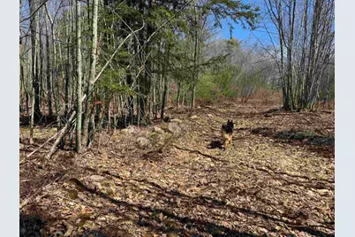 0 White Mountain Highway, Wakefield, NH 03872 - Photo 23