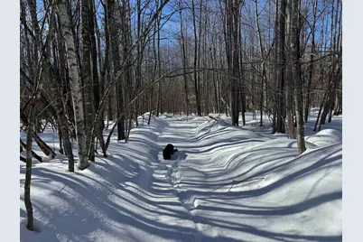 0 White Mountain Highway, Wakefield, NH 03872 - Photo 11