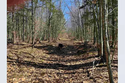 0 White Mountain Highway, Wakefield, NH 03872 - Photo 21