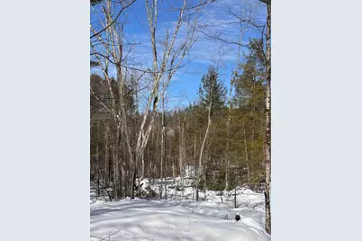 M409 L66-1 Old Turnpike Road, Richmond, NH 03470 - Photo 5