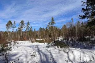 M409 L66-2 Old Turnpike Rd, Richmond, NH 03470 - Photo 1