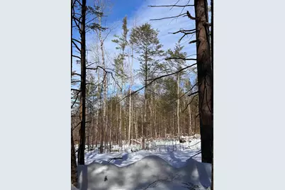 M409 L66-2 Old Turnpike Road, Richmond, NH 03470 - Photo 9