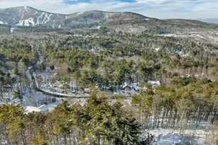 40 Deer Run Ln, Gilford, NH 03249 - Photo 59