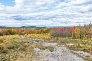 29 Paddocks Dr, Gilford, NH 03249 - Photo 9