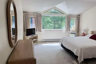 9 Mt Sun Way, Waterville Valley, NH 03215 - Photo 15