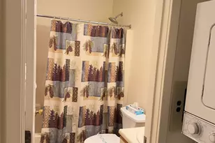 9 Mt Sun Way, Waterville Valley, NH 03215 - Photo 25