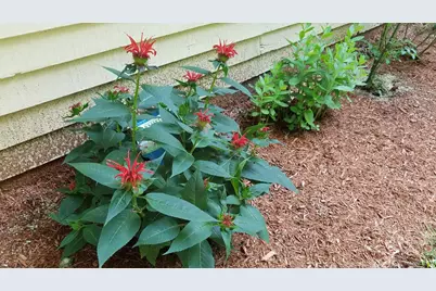 490 Meredith Center Road, Laconia, NH 03246 - Photo 43